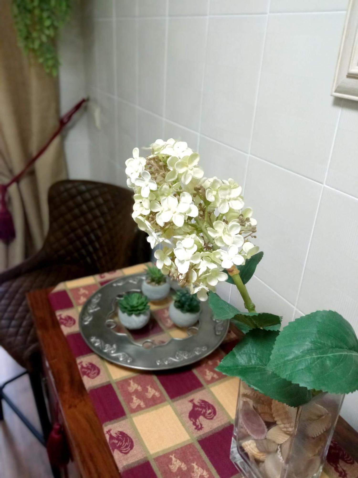 Casa De Nina Apartment Kordoba Bagian luar foto